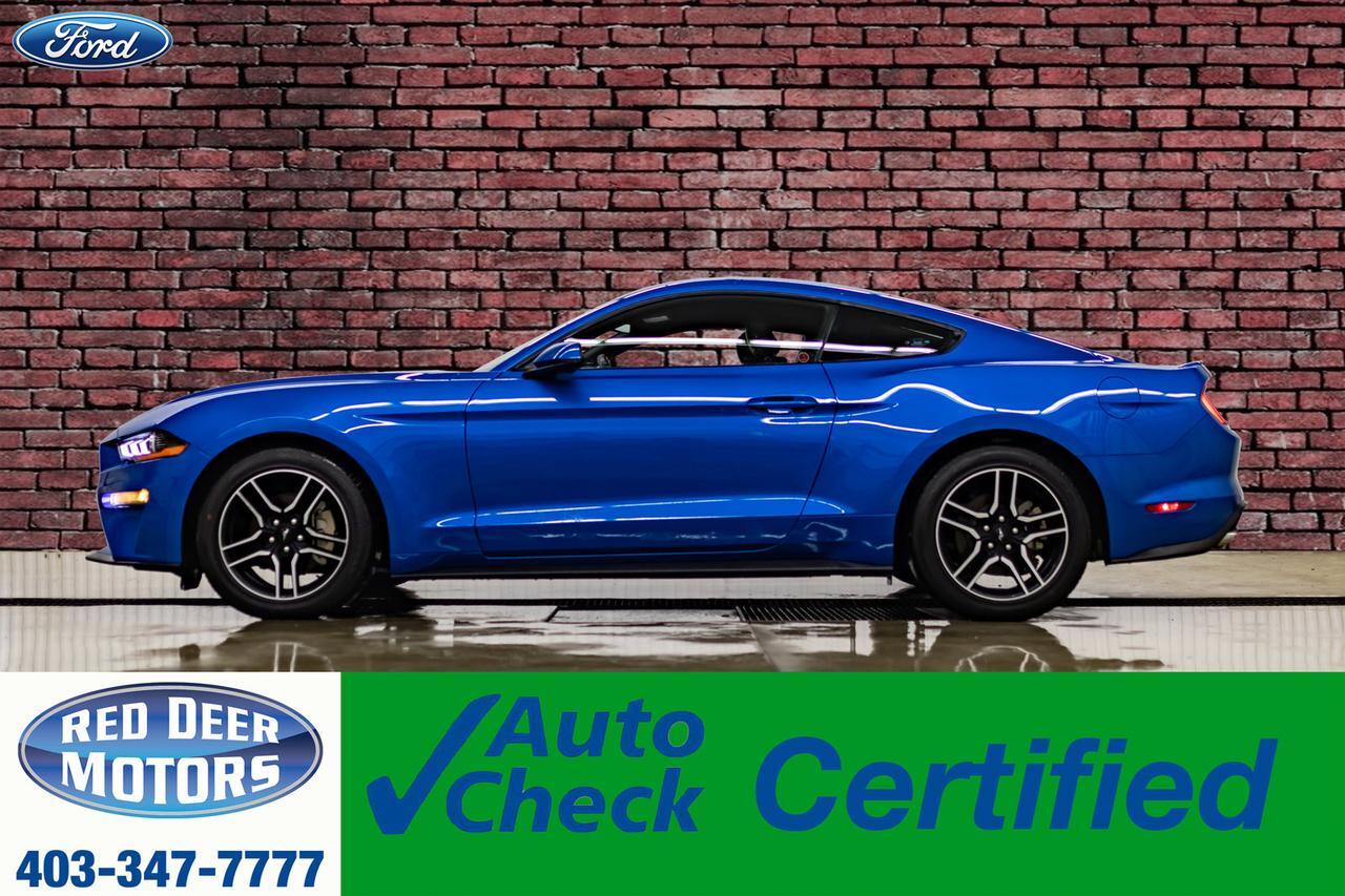2019 Ford Mustang EcoBoost Premium Leather Nav BCam Red Deer AB 2019 Ford Mustang EcoBoost Premium Leather Nav BCam Red Deer AB