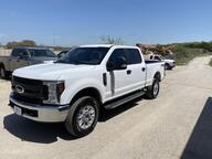 2019 Ford Super Duty F-250 SRW Goldthwaite TX 2019 Ford Super Duty F-250 SRW Goldthwaite TX