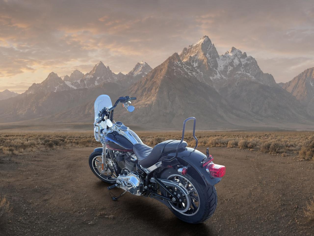 2019 Harley-Davidson FXLR FXLR LOW RIDER