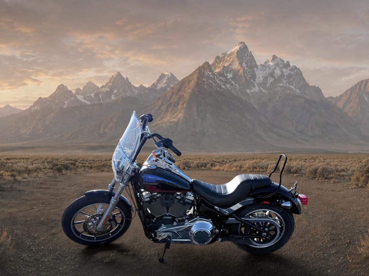 2019 Harley-Davidson FXLR FXLR LOW RIDER