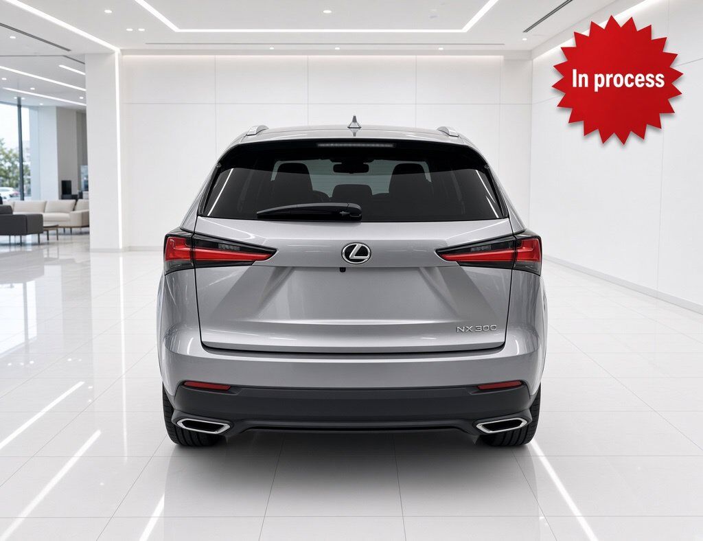 2019 Lexus NX 300 Base Oklahoma City OK