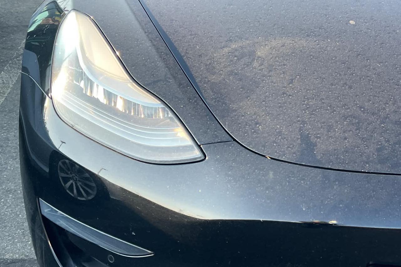 2019 Tesla Model 3 Standard Range Roseville CA