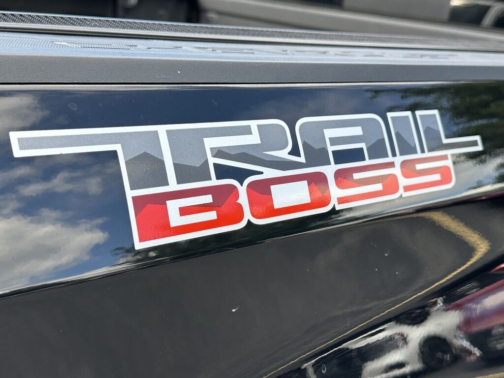 2020 Chevrolet Silverado 1500 LT Trail Boss w/Convenience Pkg II San Clemente CA