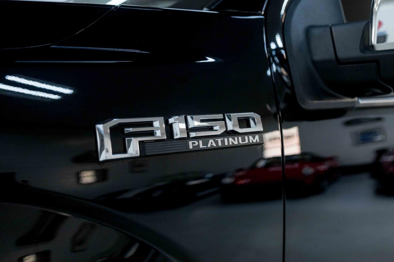 2020 Ford F-150 Platinum Marietta GA 2020 Ford F-150 Platinum Marietta GA
