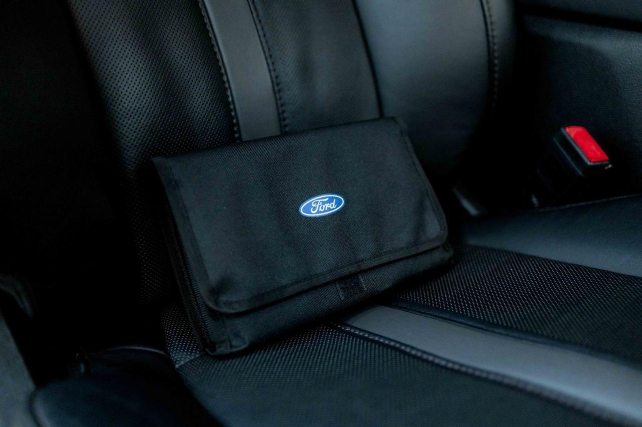 2020 Ford F-150 Platinum Marietta GA 2020 Ford F-150 Platinum Marietta GA