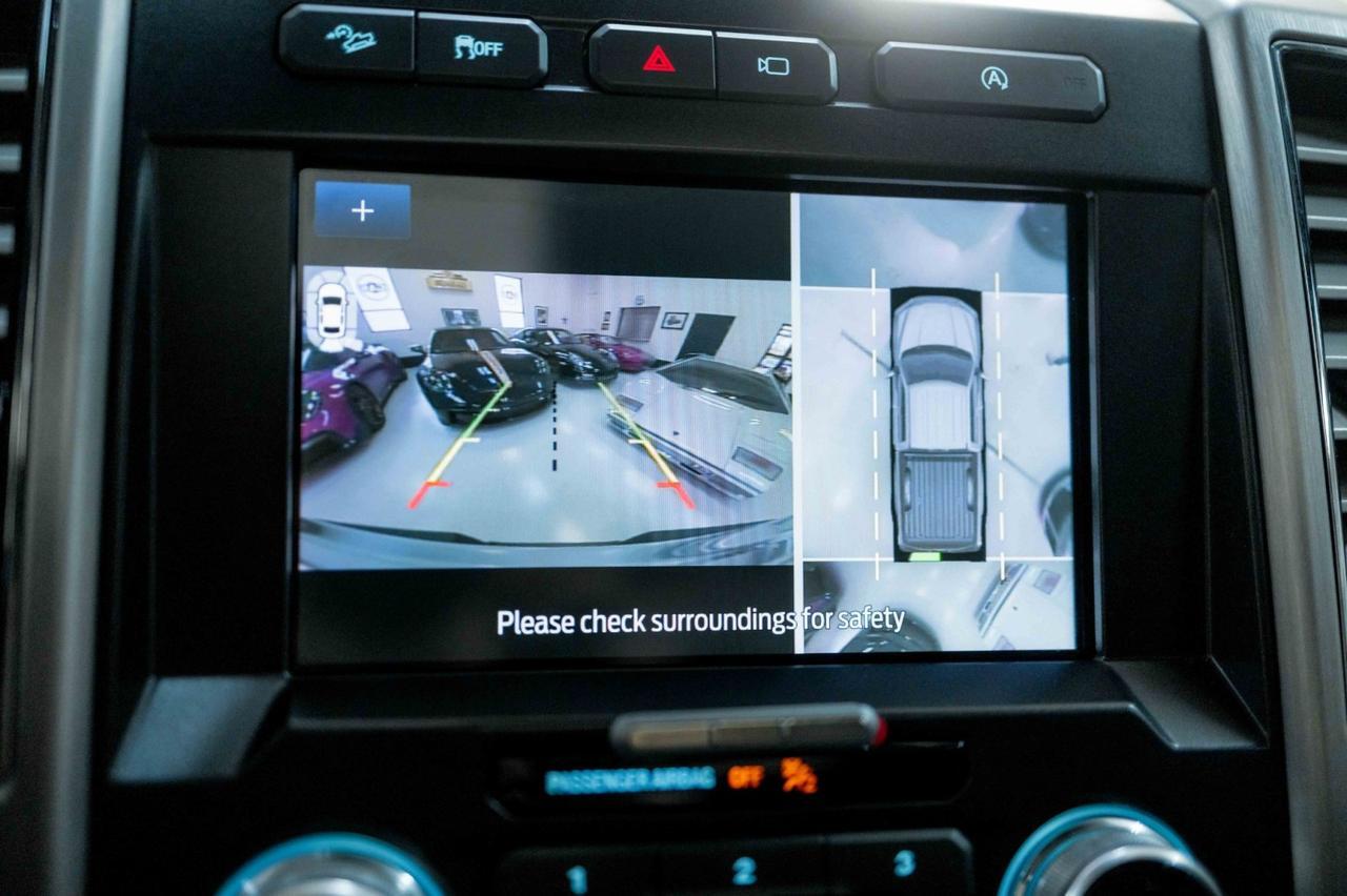 2020 Ford F-150 Platinum Marietta GA 2020 Ford F-150 Platinum Marietta GA