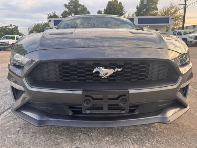 2020 Ford Mustang EcoBoost Fastback 2020 Ford Mustang EcoBoost Fastback