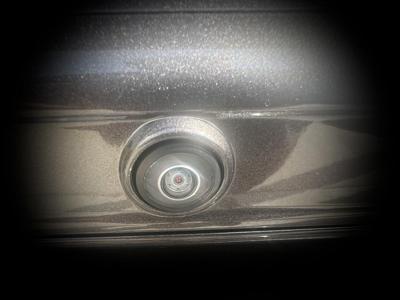 RAM1500 CREW CAB 4X49