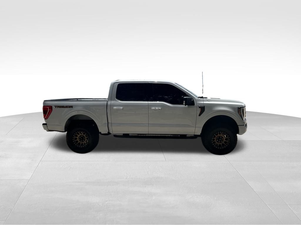 2021 Ford F-150 Tremor Tampa FL