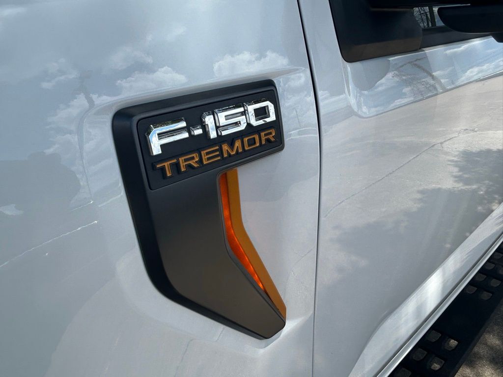 2021 Ford F-150 Tremor Tampa FL