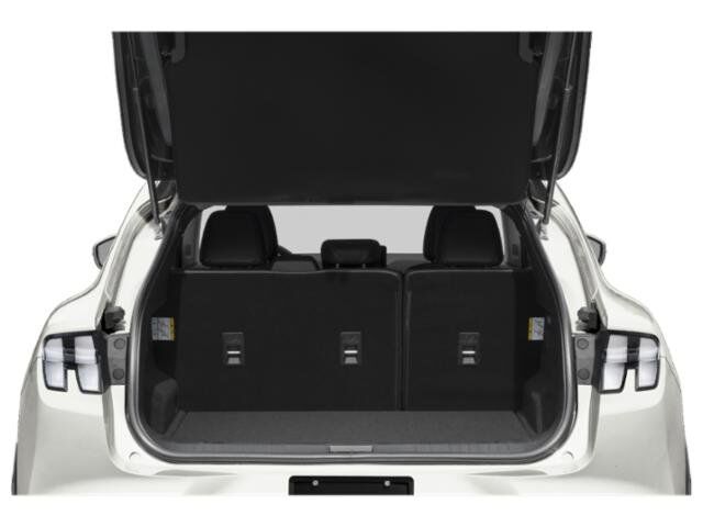 2021 Ford Mustang Mach-E Select Appleton WI