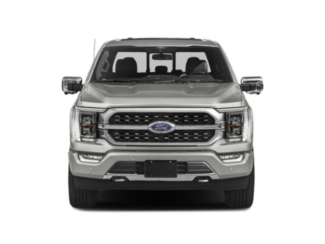 2022 Ford F-150 Platinum Appleton WI