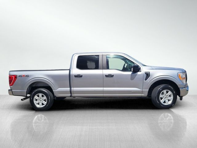 2022 Ford F-150 XL 2022 Ford F-150 XL