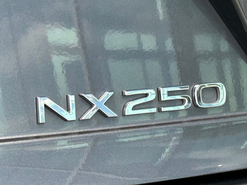 2022 Lexus NX 250 Premium Lakeland FL