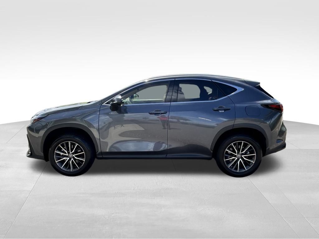 2022 Lexus NX 250 Premium Lakeland FL
