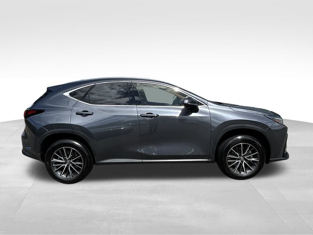 2022 Lexus NX 250 Premium Lakeland FL