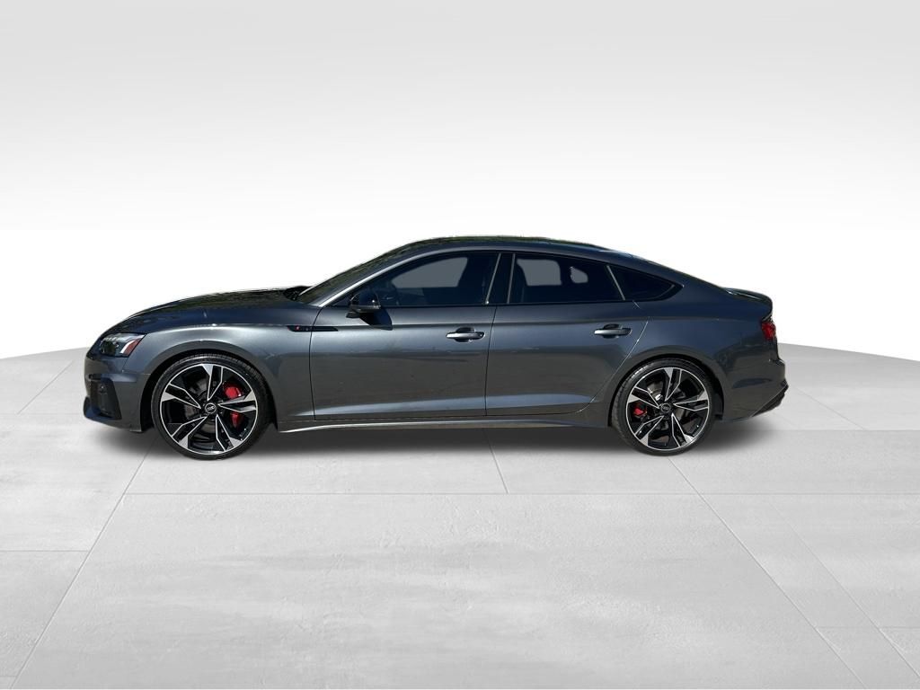2023 Audi S5 Sportback Premium Plus Tampa FL