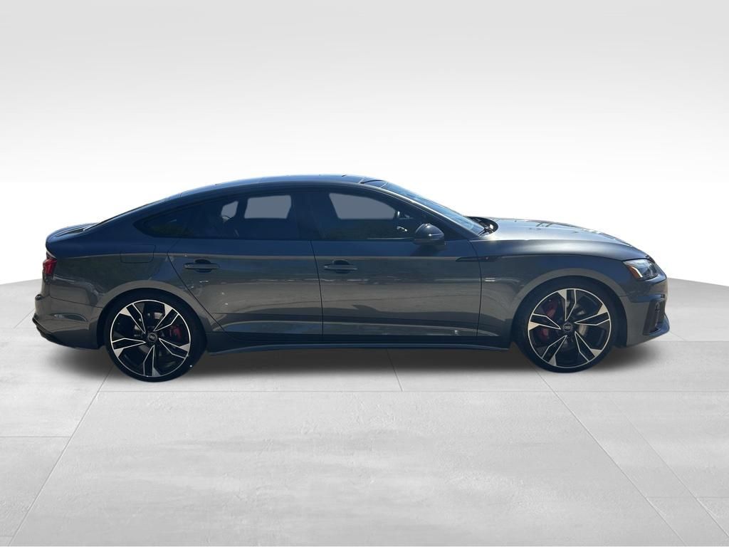 2023 Audi S5 Sportback Premium Plus Tampa FL
