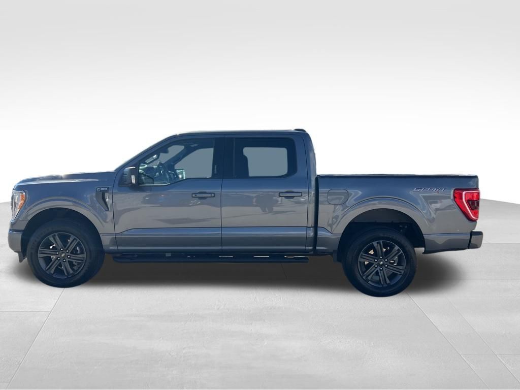 2023 Ford F-150 XLT Tampa FL