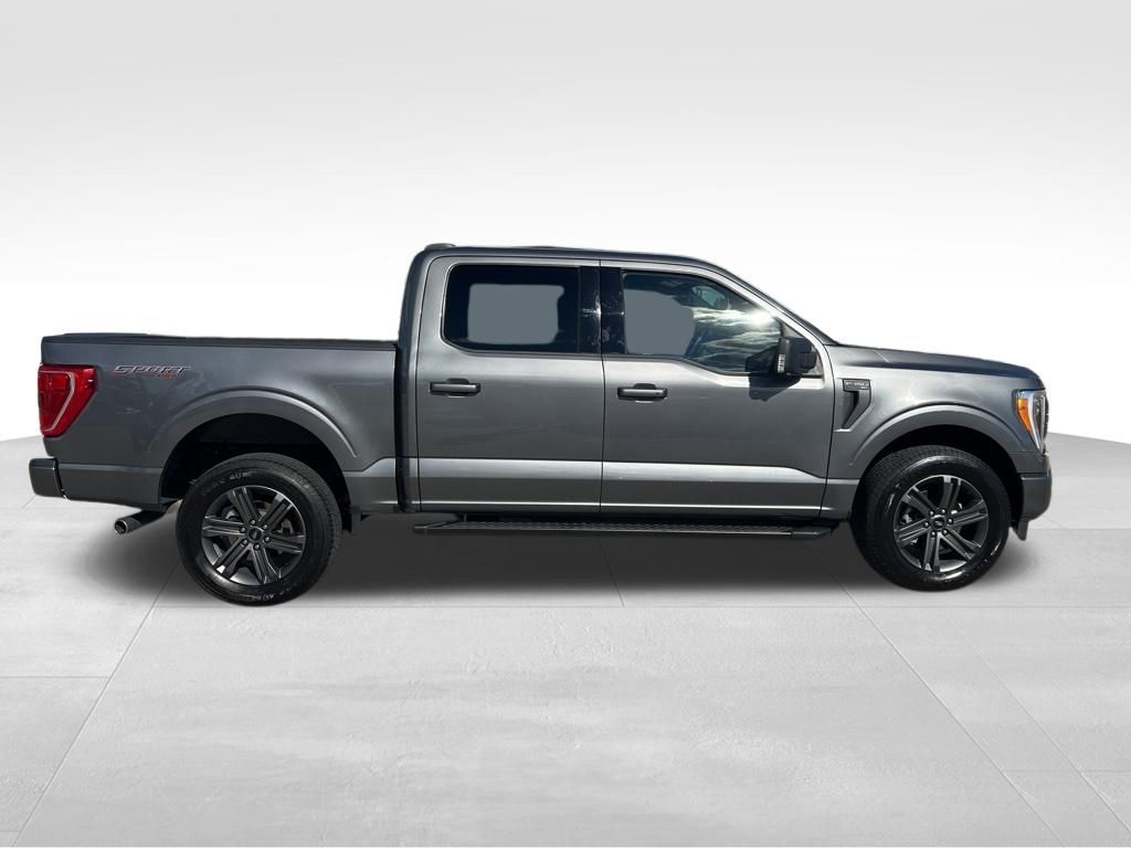 2023 Ford F-150 XLT Tampa FL