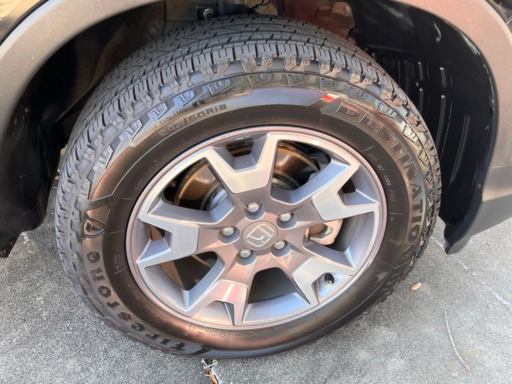 2023 Honda Passport TrailSport Tampa FL