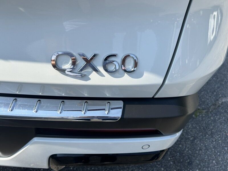 2023 INFINITI QX60 LUXE Webster MA 2023 INFINITI QX60 LUXE Webster MA