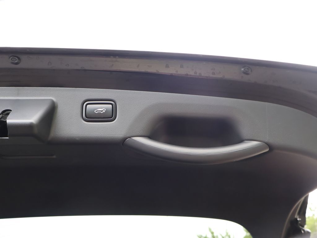 2023 Kia Niro EV Wind San Clemente CA
