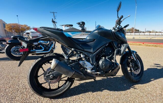 2023 Yamaha MT BLACK