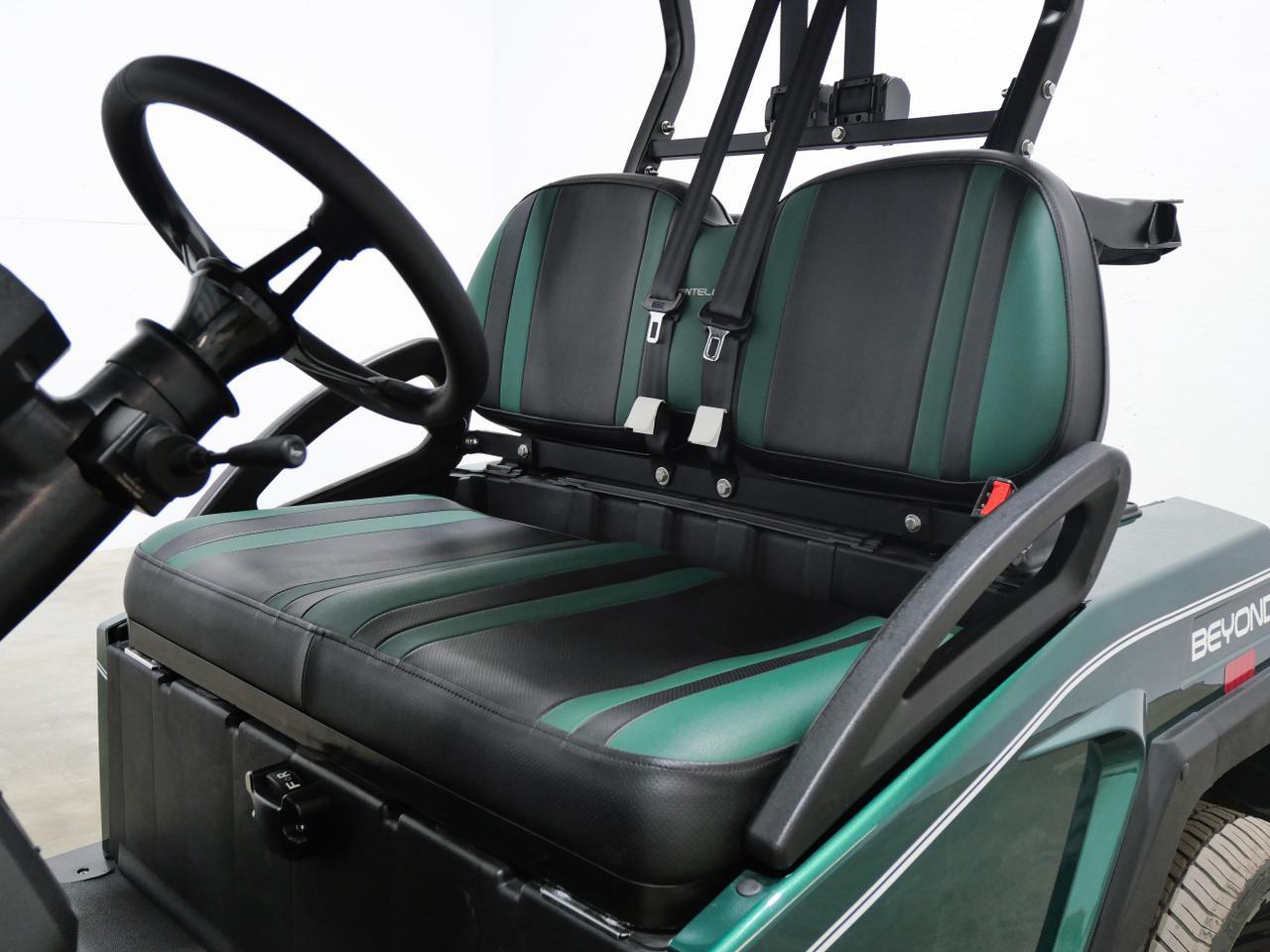 2024 Bintelli Beyond 2PF Mt Pleasant MI