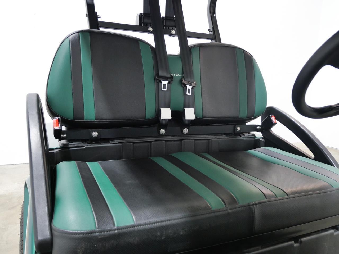 2024 Bintelli Beyond 2PF Mt Pleasant MI