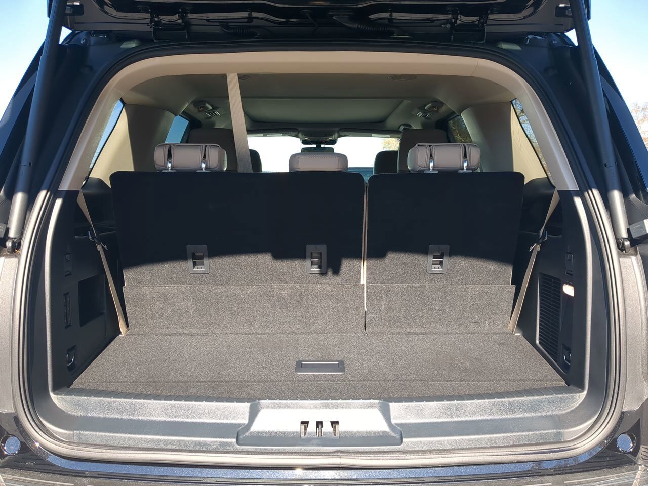 2024 Ford Expedition Limited Appleton WI