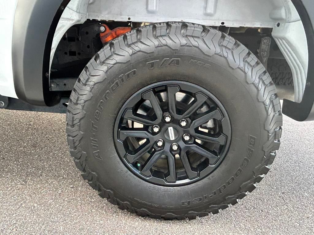 2024 Ford F-150 Raptor Lakeland FL