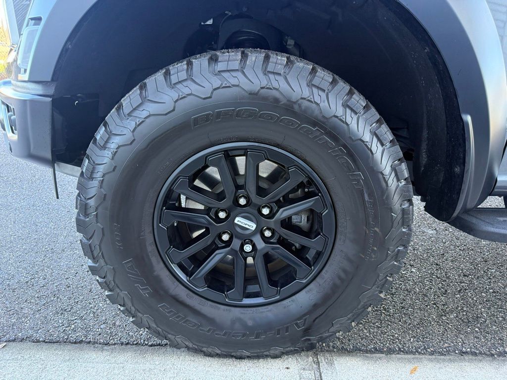 2024 Ford F-150 Raptor Lakeland FL