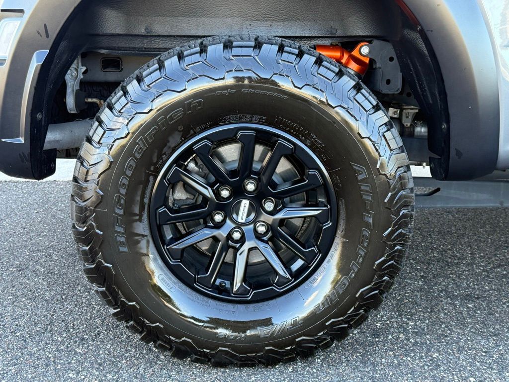 2024 Ford F-150 Raptor Lakeland FL