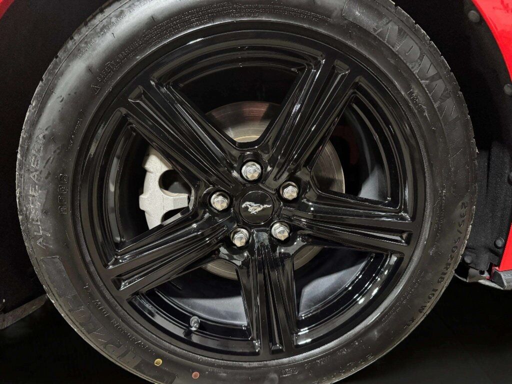 2024 Ford Mustang EcoBoost Premium San Clemente CA