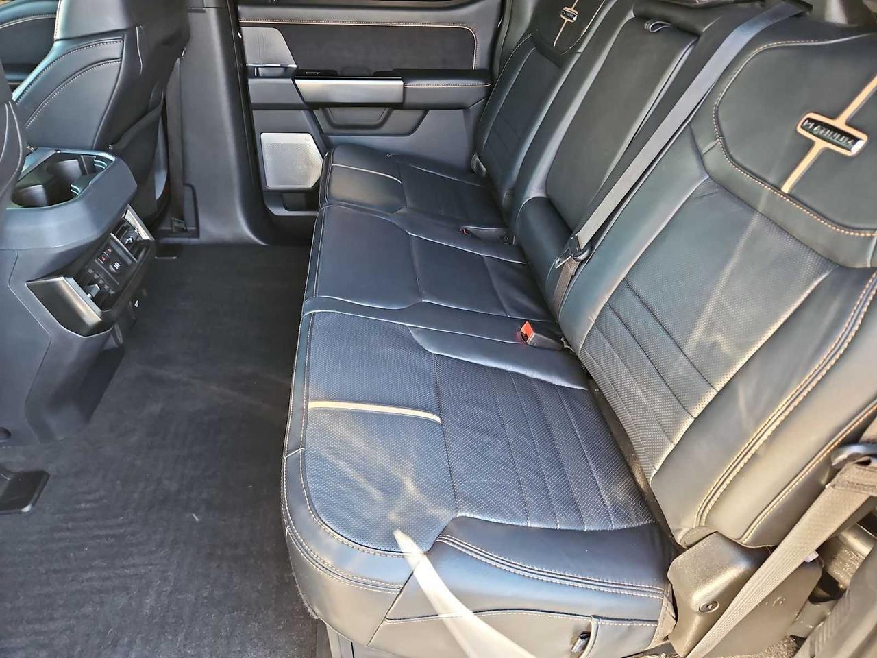 2024 Ford Super Duty F-250 SRW Platinum Irving TX