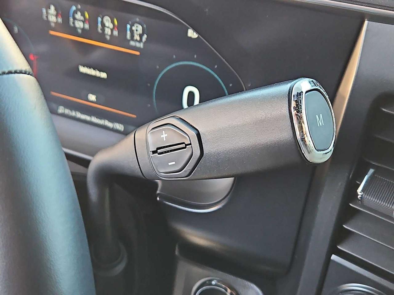 2024 Ford Super Duty F-250 SRW Platinum Irving TX