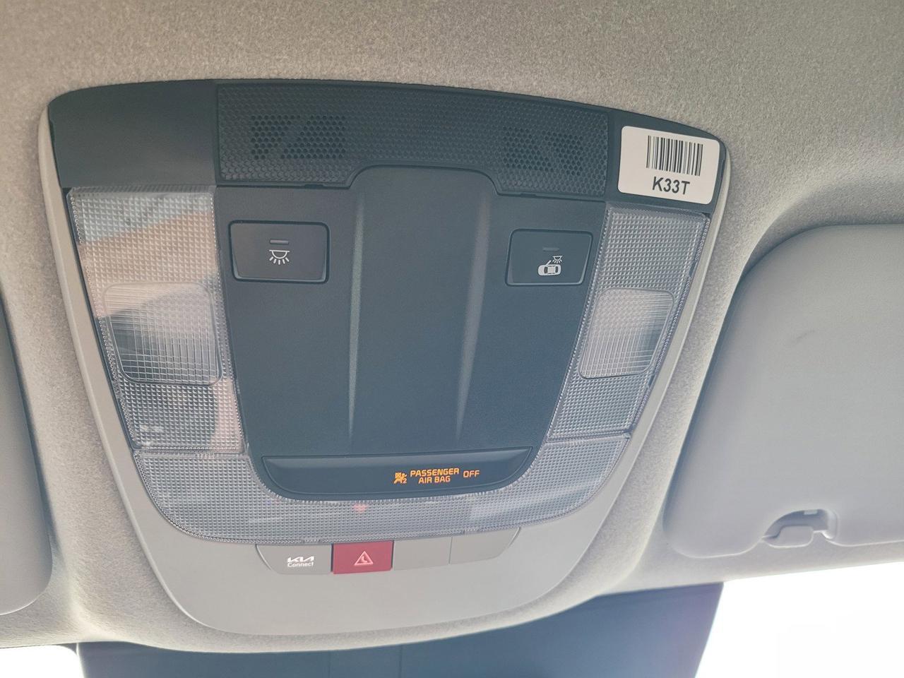 2024 KIA NIRO EV WIND Roseville CA