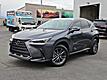 2024 Lexus NX 250 Premium
