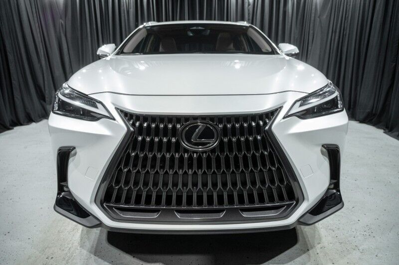 2024 Lexus NX NX 250 AWD SUV Peoria AZ