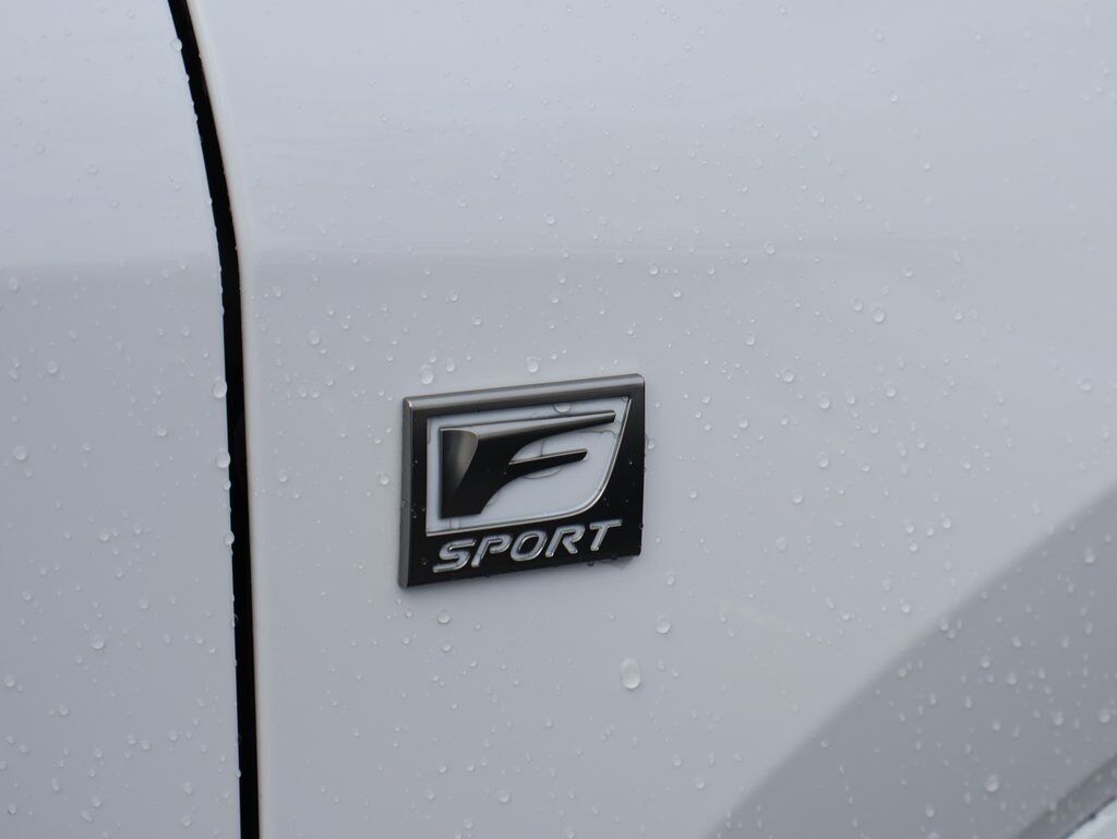 2024 Lexus RX 350 F Sport Handling San Clemente CA