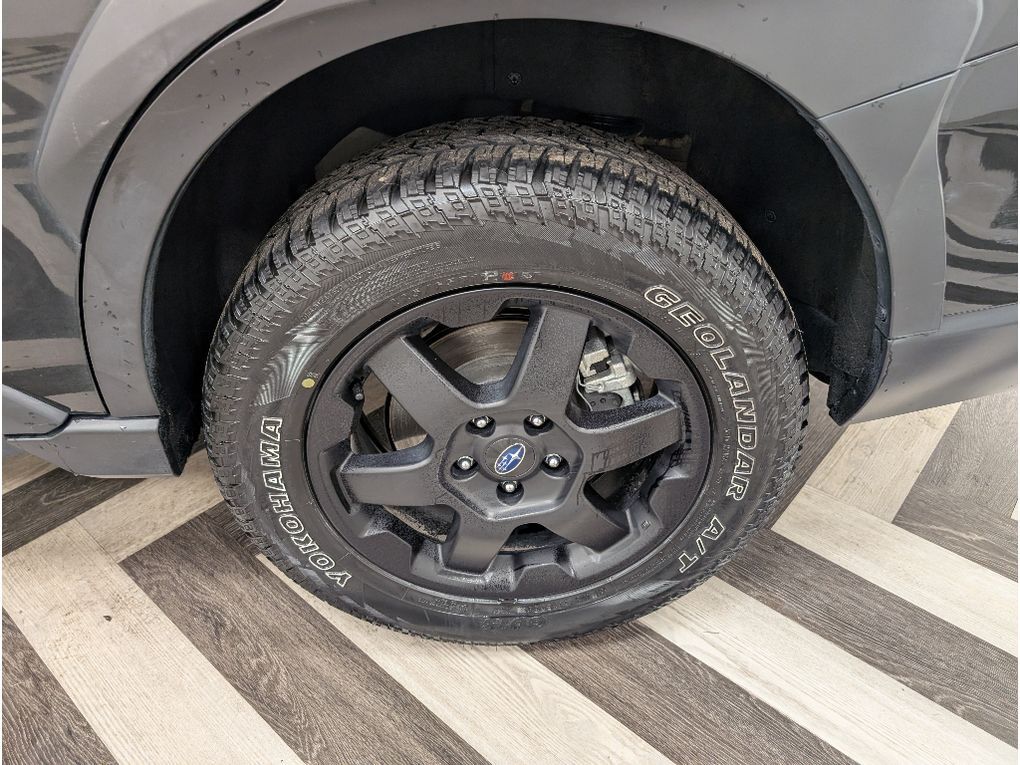 2024 Subaru Outback Wilderness Bozeman MT