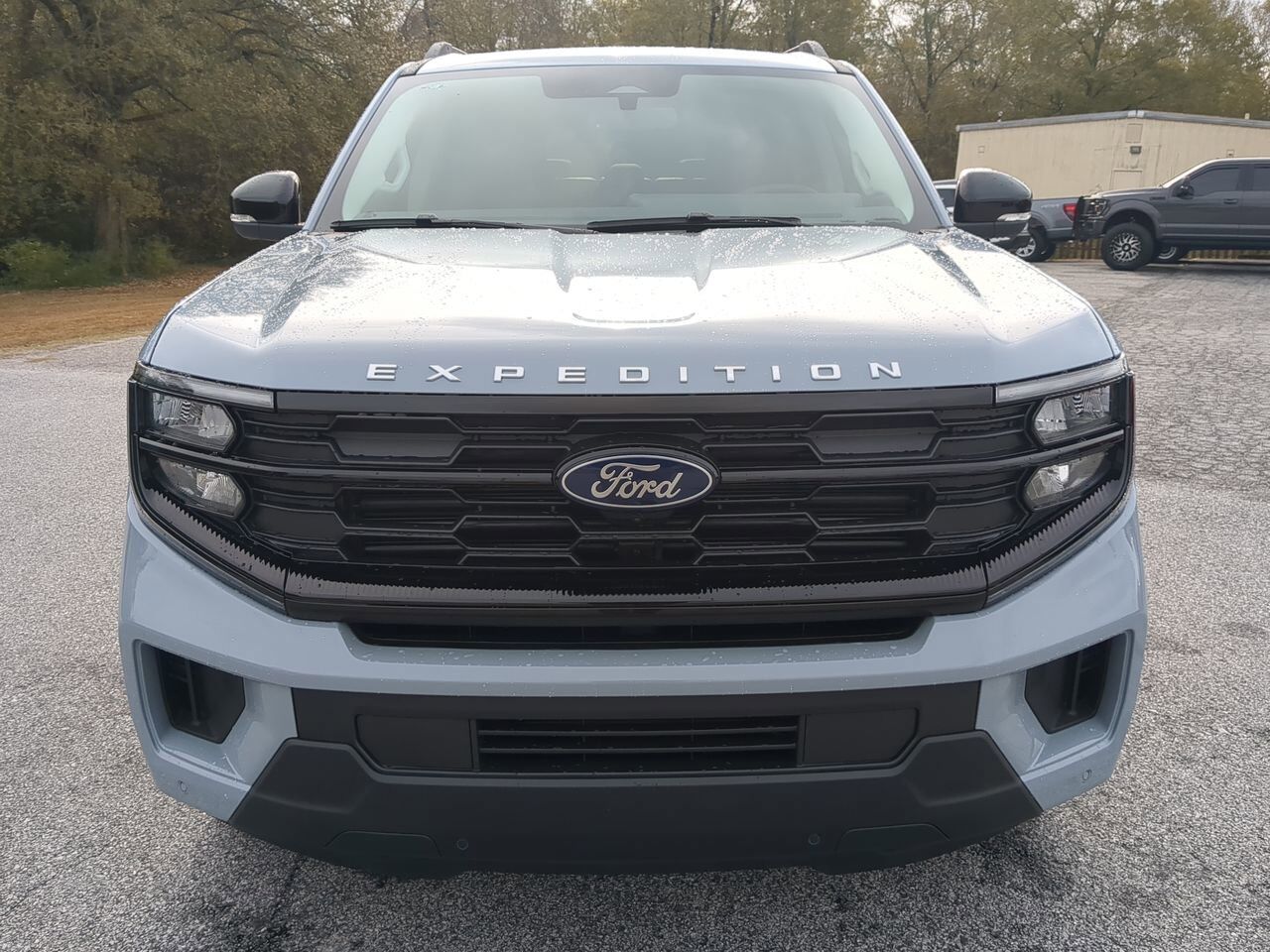 2025 Ford Expedition Active Appleton WI