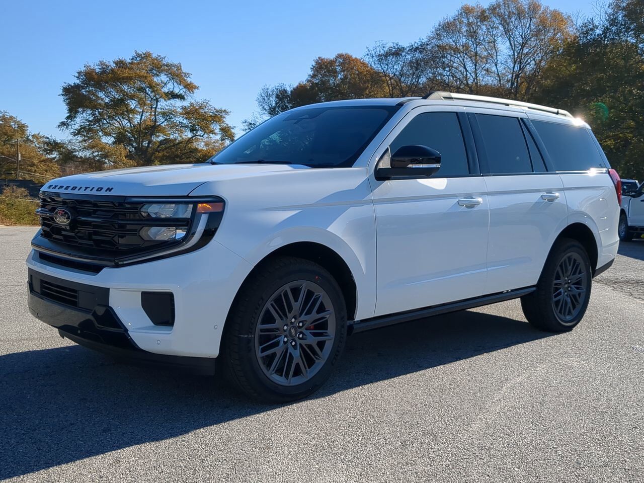 2025 Ford Expedition Platinum Appleton WI