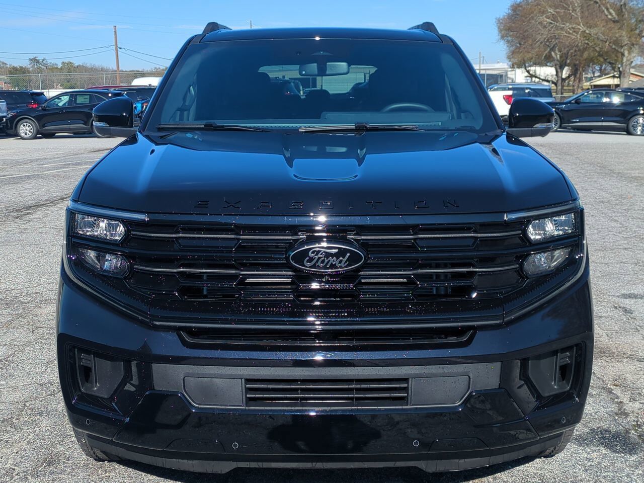 2025 Ford Expedition Platinum Appleton WI