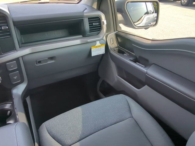 2025 Ford F-150 Lightning XLT Appleton WI