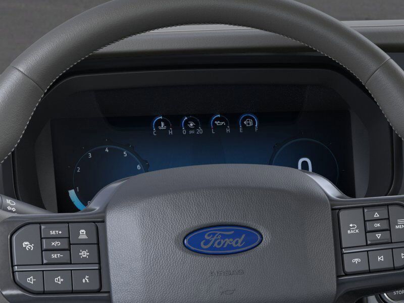 2025 Ford F-150 Platinum Appleton WI
