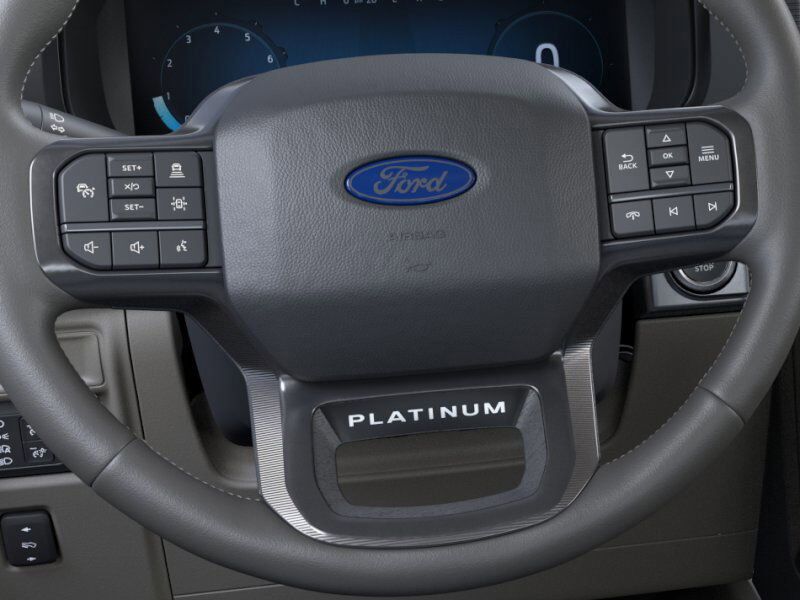 2025 Ford F-150 Platinum Appleton WI