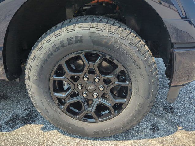 2025 Ford F-150 XLT Appleton WI