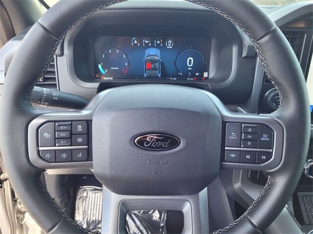 2025 Ford F-150 XLT Roseville CA